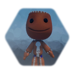 Sackboy The Hedgehog