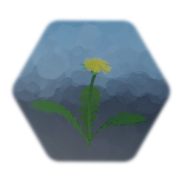 Dandelion Life Cycle (Animation)