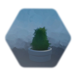 Potted Plant