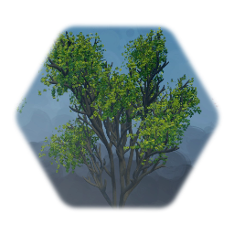 Cheap Tree Experiment