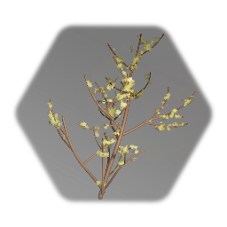 Undergrowth Forest Plant 1%