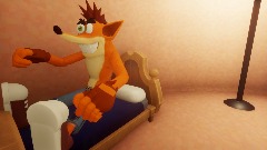 bandicoot house