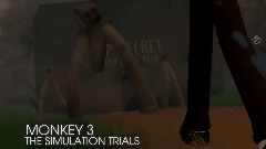 Monkey-3 THE-SIMULATION-TRIALS