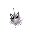 polite_raisin4