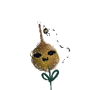 Lucathebeet232