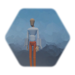 Basic Inmate Template