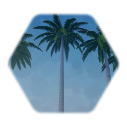 Coconut Palm Trees
