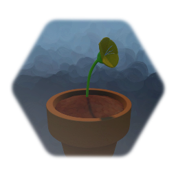 Potted Flower