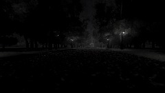 Nightmare in the Woods!