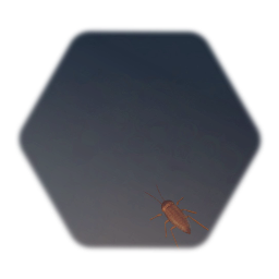 Cockroach