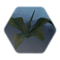 Plant
