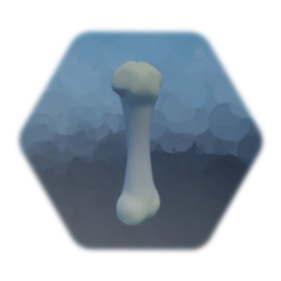 Animal Bone