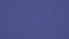 Soulstorm Brew