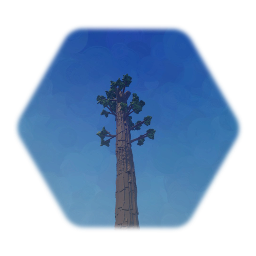 Tall Tree