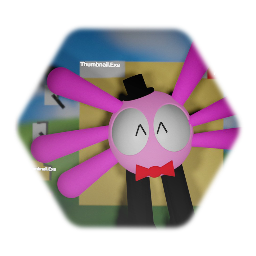 Everything KinitoPET