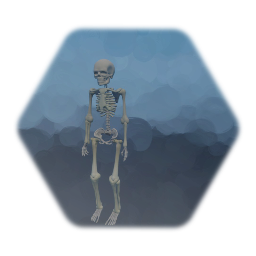 Skeleton Enemy
