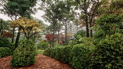 A screenshot taken in Dreams. 11 of 24.