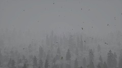 A screenshot taken in Dreams. 1 of 3.