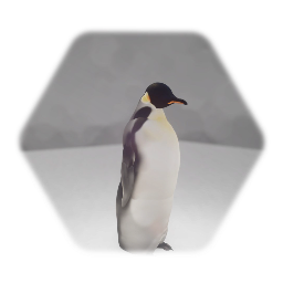 Emperor penguin