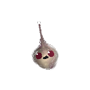 notKRZXY