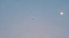 AY| do anything ya want