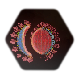 Covid 19 Cross Section (Corona Virus) - 3/14/2020
