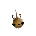 goldenbaart
