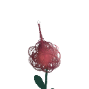 R_E_D_A_C_T_E_D