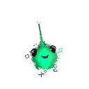 TheCryptodira