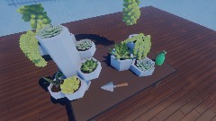 Wonderful world of Succulents