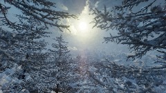 A screenshot taken in Dreams. 11 of 25.