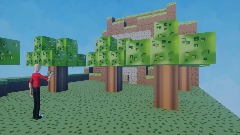 Pixel craft (Demo test)