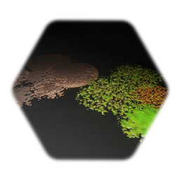 various ground covers