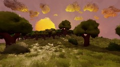 Sunsets, Fields, and Forests