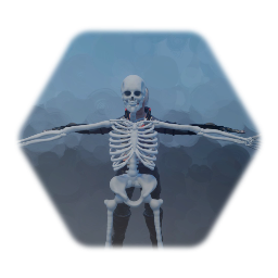 Skeleton