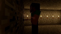 The Minecraft Warden: