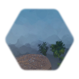 Forest Dirt and Shrubs