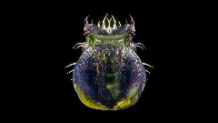 Micro life impression