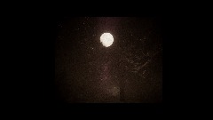 Incident at White Birch Clearing