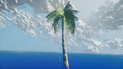 Dryreefs HD palm tree