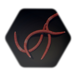 Worms