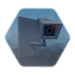 Surveillance Camera