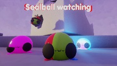 Sealball watching