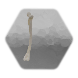 Fémur