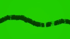 SS3 Startup (Launch)