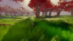 A walk in the forest