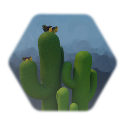 Cactus Trio