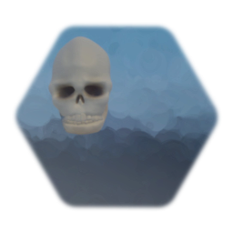 Basic skull