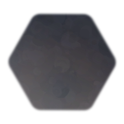 First person with camera