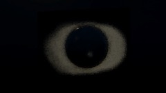 AU The Stalker